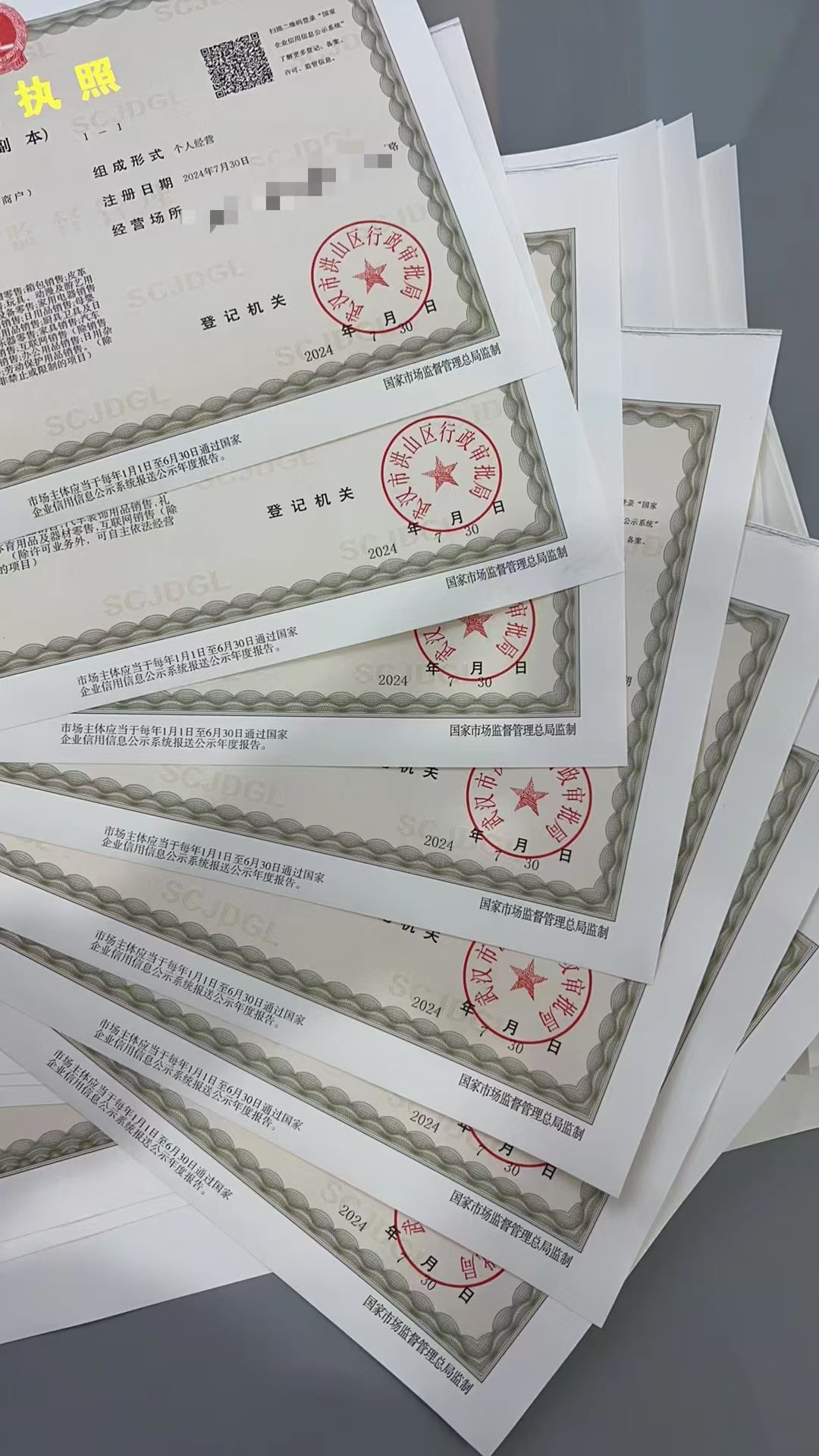 营业执照办理（个体/公司）项目网-创业网-网创银蛇网络科技