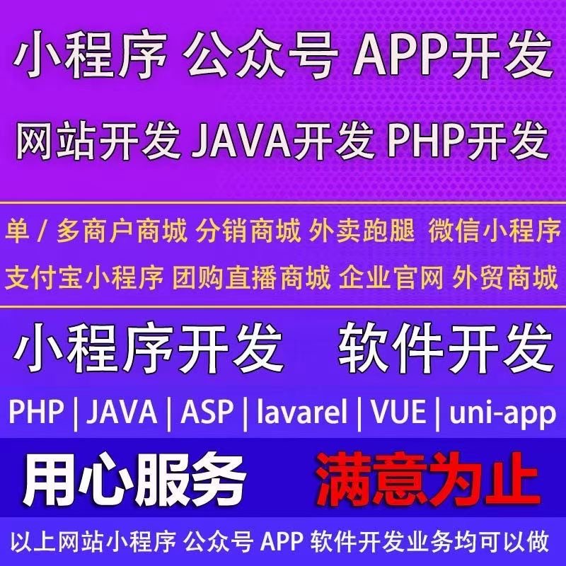 网站小程序定制开发项目网-创业网-网创银蛇网络科技